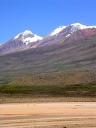 The vegetation at elevation of over 4000m, flat dried lake, in the background Vicuñas.