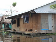 Iquitos, Belem, a house with pets (hens and dogs)